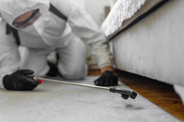 Professional Termite Control technician working in Lancaster, OH