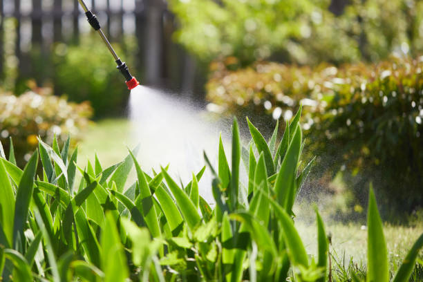 24/7 Emergency Termite Control experts in Lancaster, OH