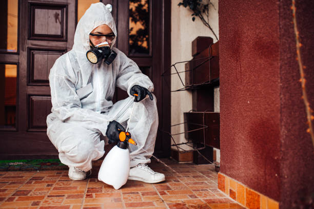 Reliable Termite Control contractor in Lancaster, OH by Nex Pest Control