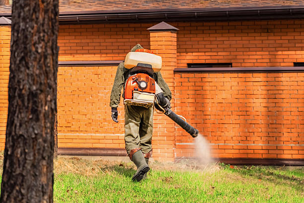 Top rated local Termite Control specialists in Lancaster, OH